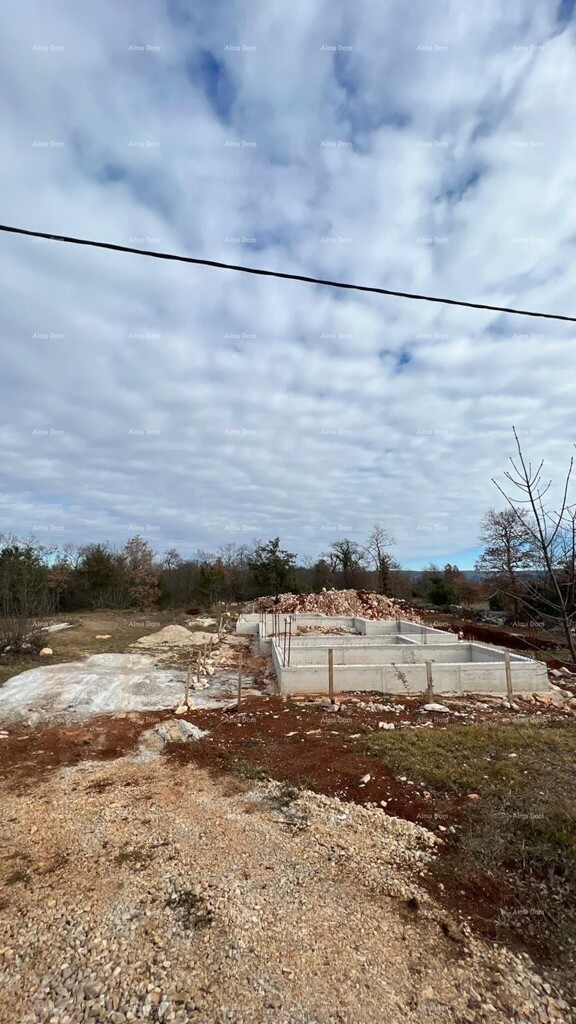 Image 6205922 - 5