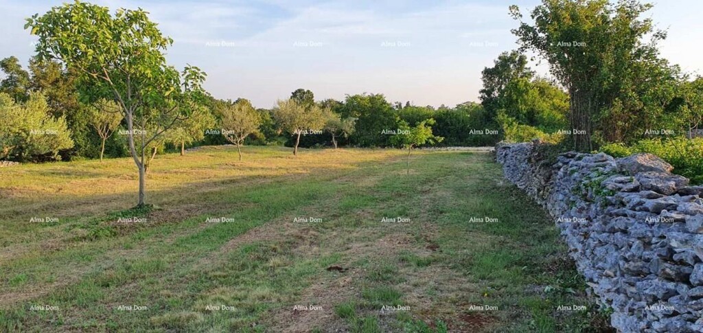 Image 6205945 - 1