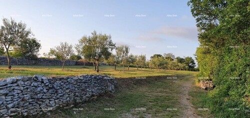 Thumbnail 6205945 - 4