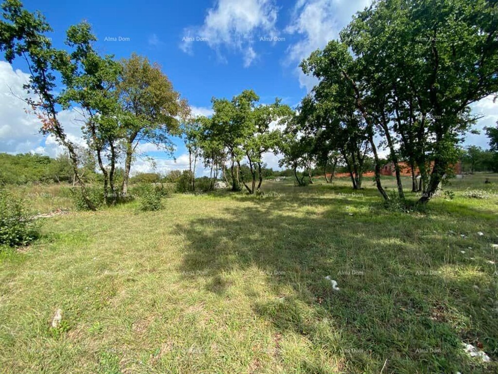 Image 6205981 - 1