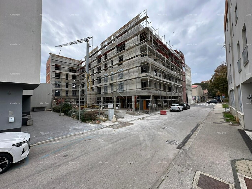 Image 6206071 - 2