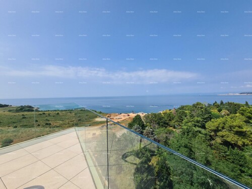 Thumbnail 6206075 - 9