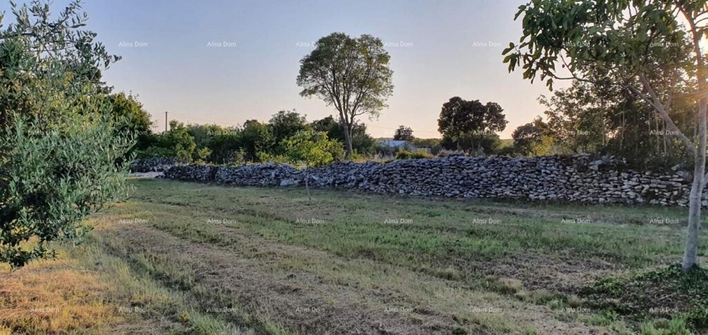 Image 6206186 - 6