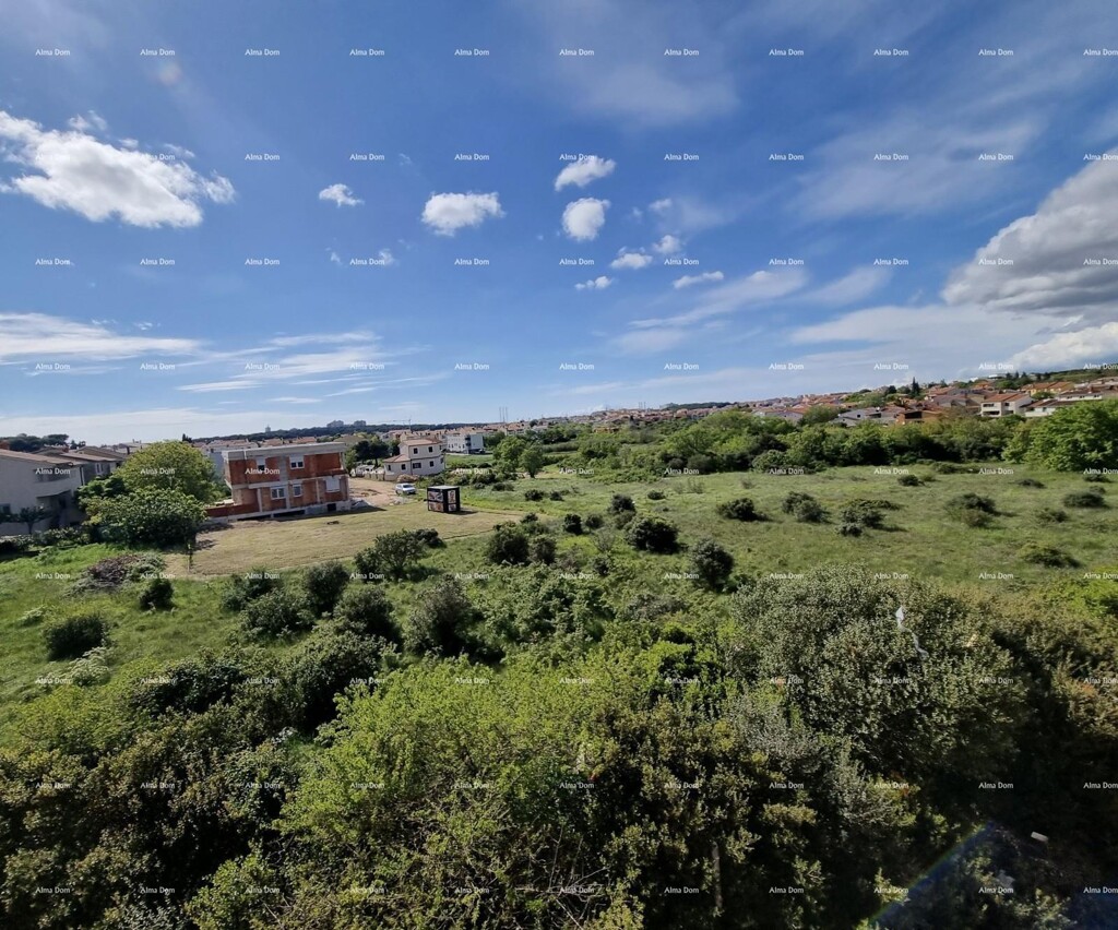Image 6206191 - 3