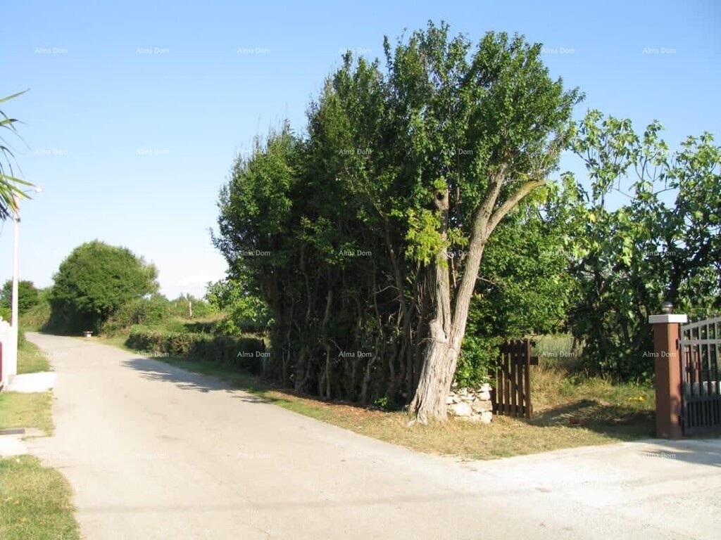 Image 6206200 - 3