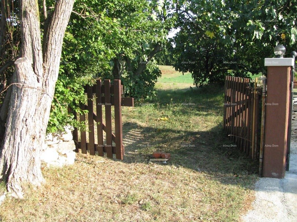 Image 6206200 - 4