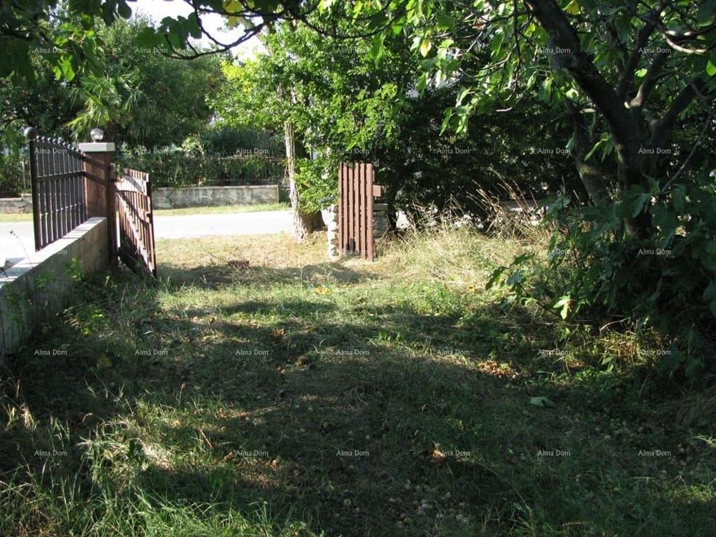 Image 6206200 - 5