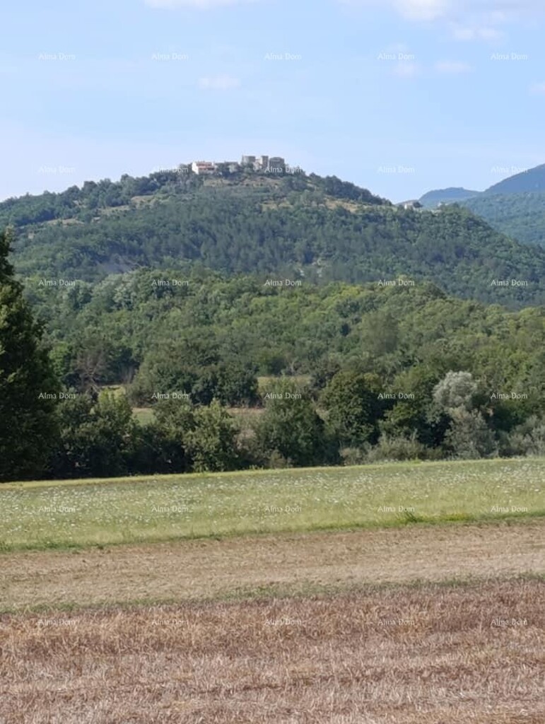 Image 6206222 - 2