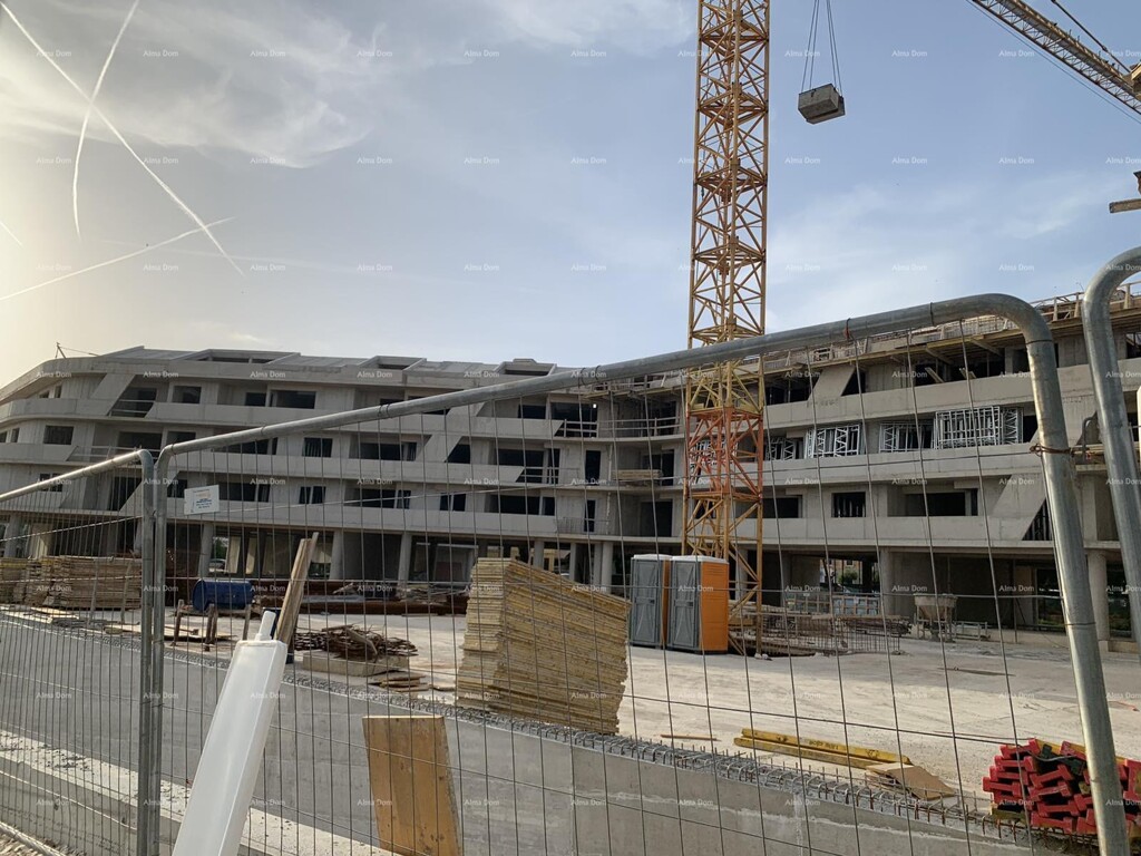 Image 6206463 - 3