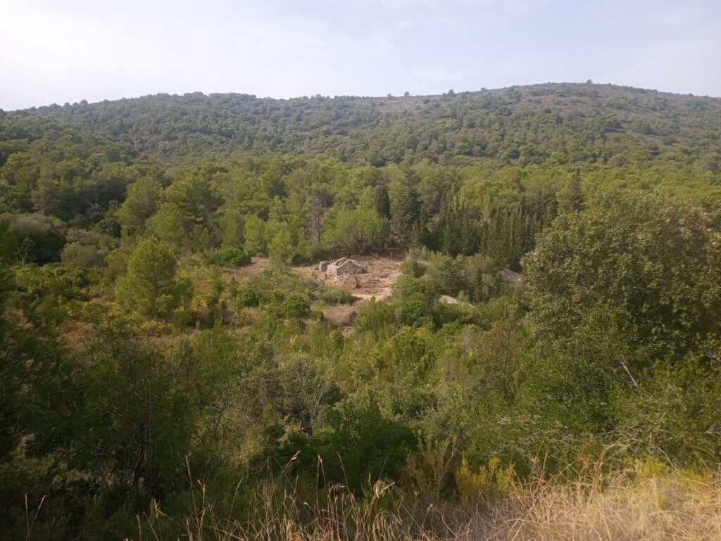Image 6206796 - 5