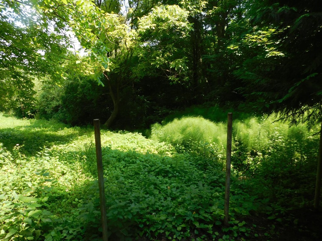Image 6206798 - 10