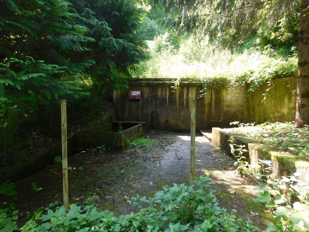 Image 6206798 - 6