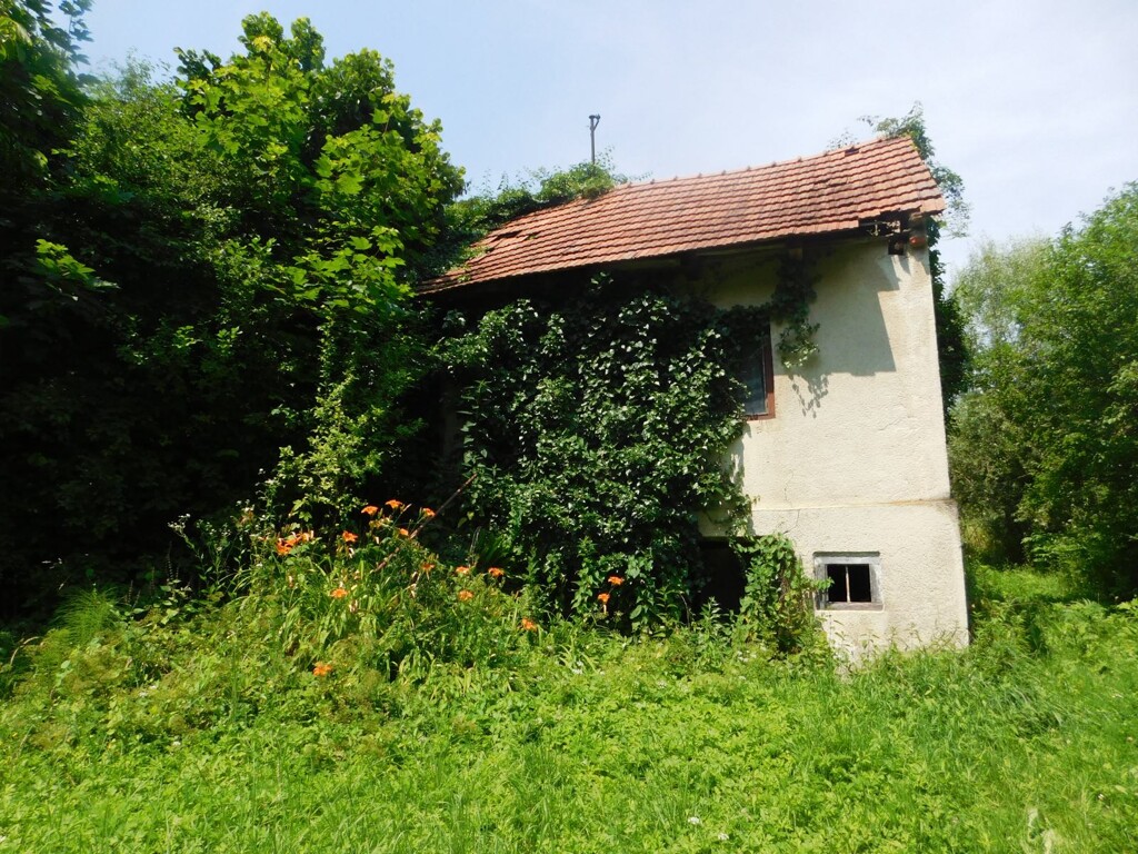 Image 6206798 - 1