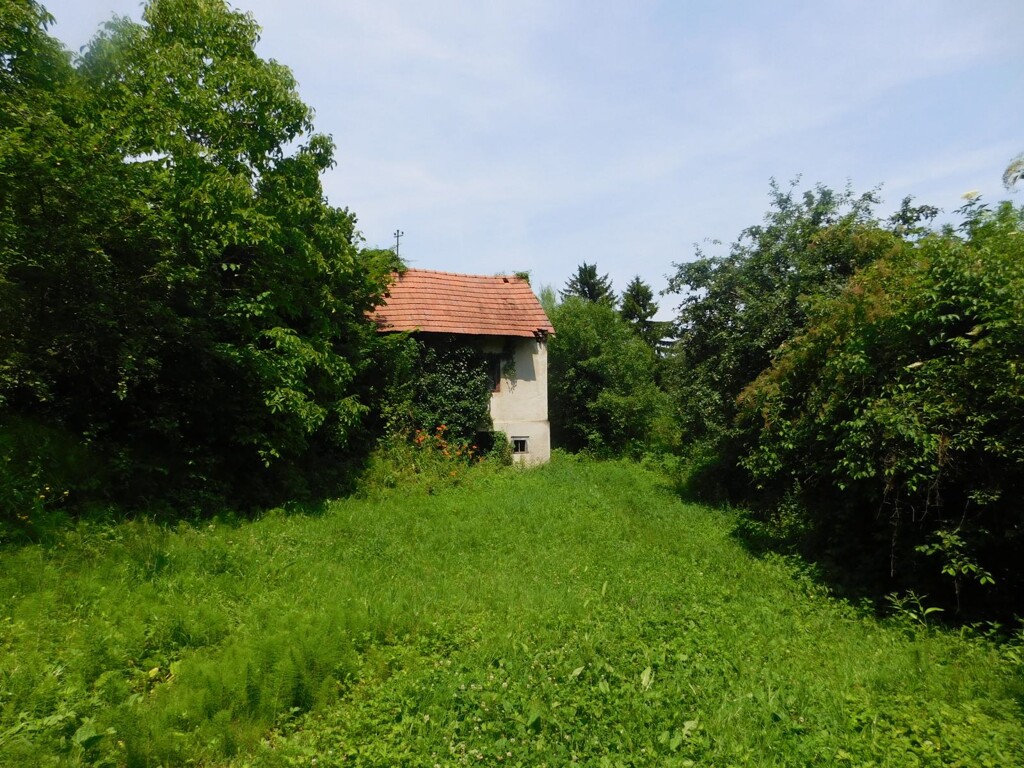 Image 6206798 - 2
