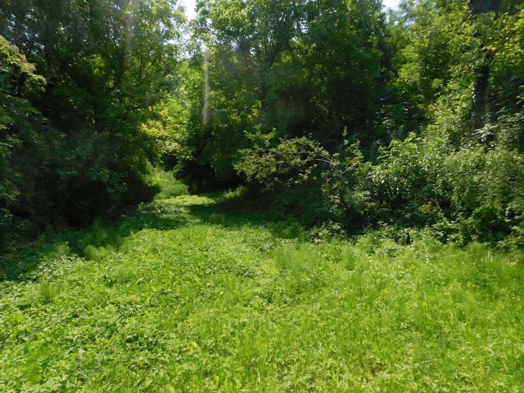 Image 6206798 - 11