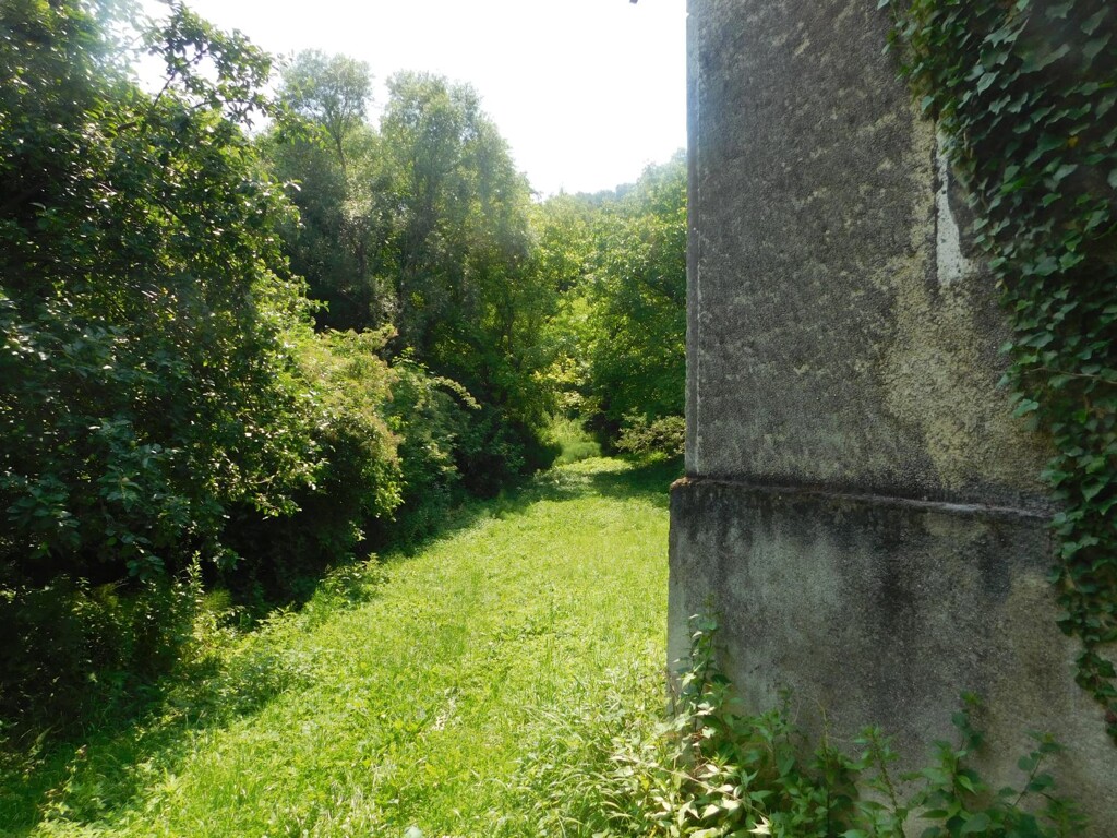 Image 6206798 - 9