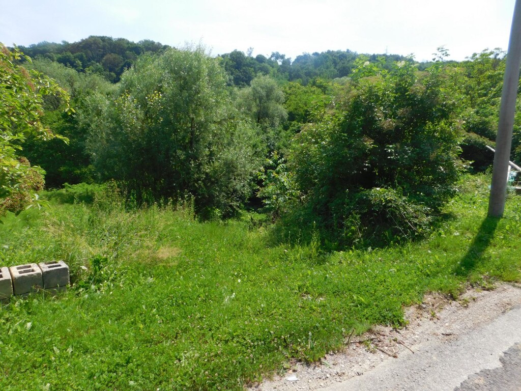 Image 6206798 - 8