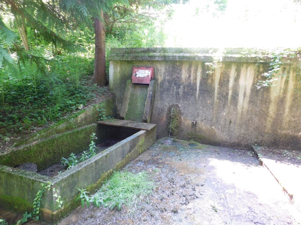 Image 6206798 - 5
