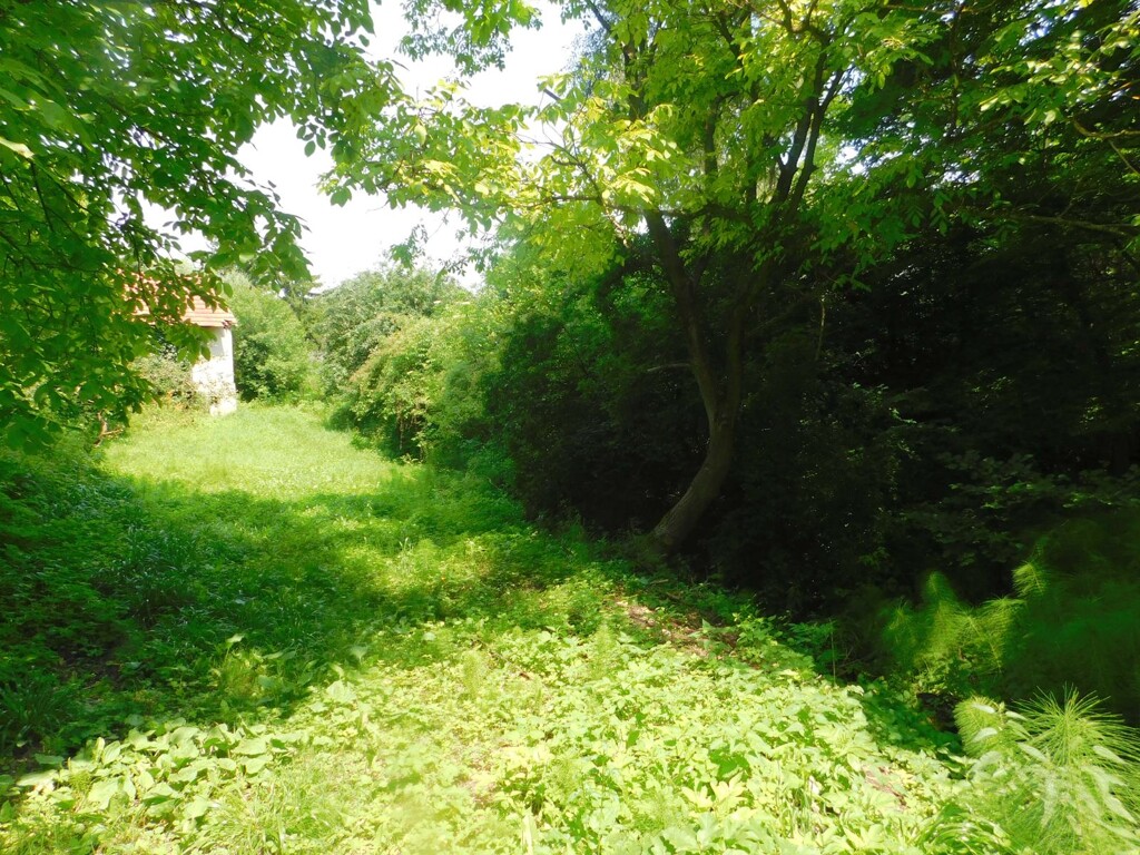 Image 6206798 - 7