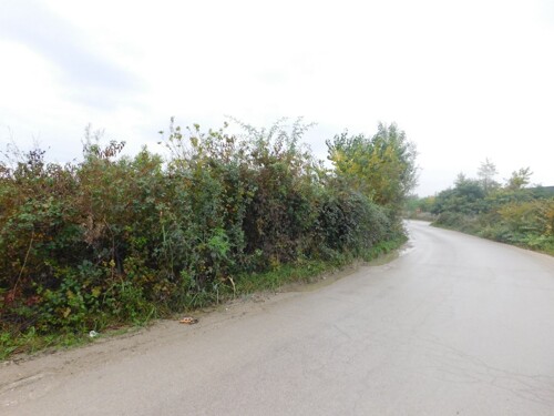 Thumbnail 6206799 - 6