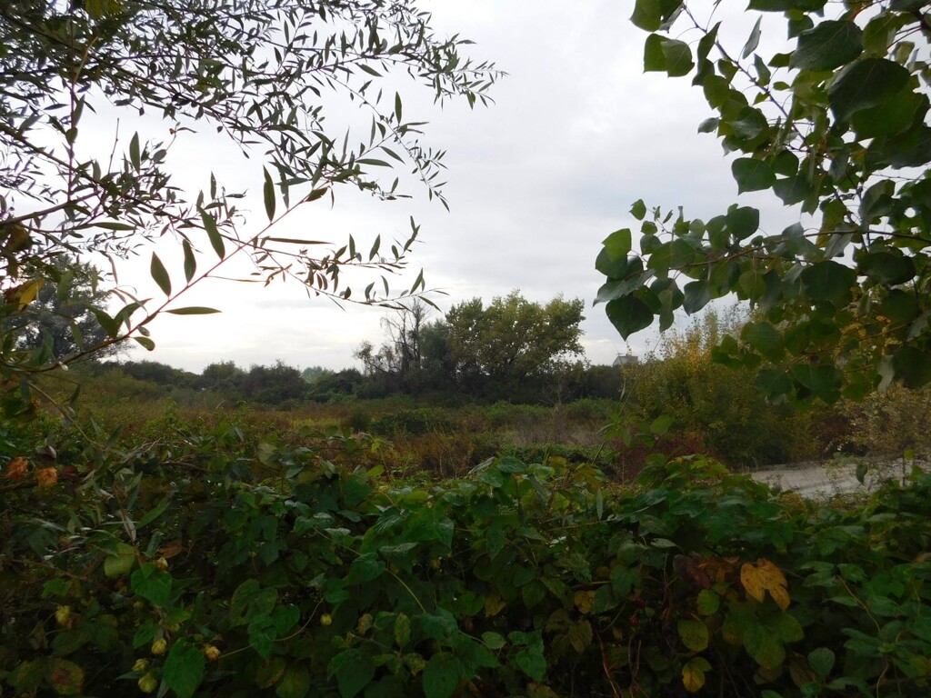 Image 6206799 - 1