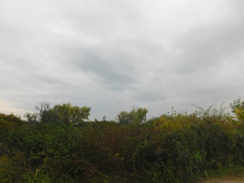 Thumbnail 6206799 - 7