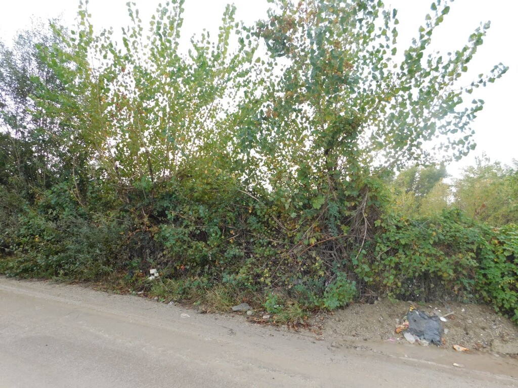 Image 6206799 - 12