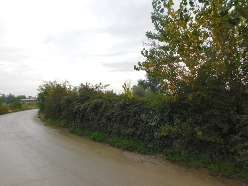Thumbnail 6206799 - 10