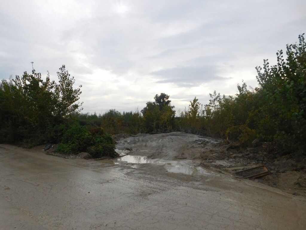 Image 6206799 - 9
