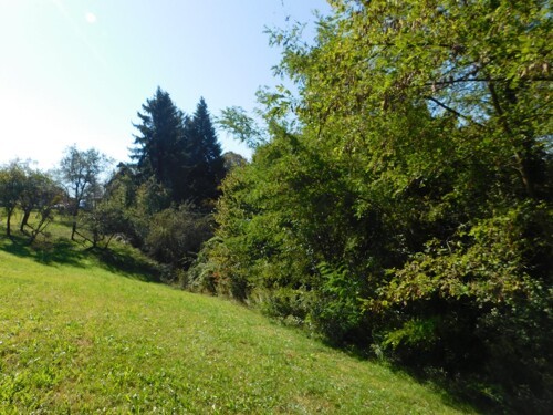 Thumbnail 6206802 - 6