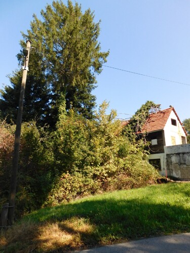 Thumbnail 6206802 - 5