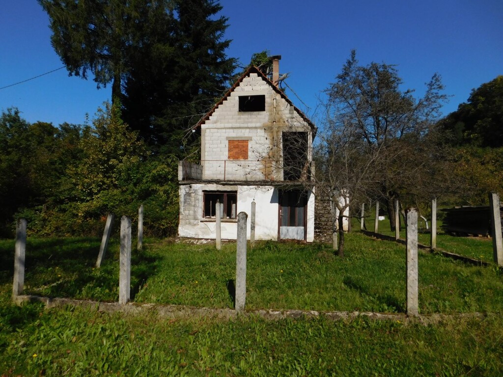 Image 6206802 - 1