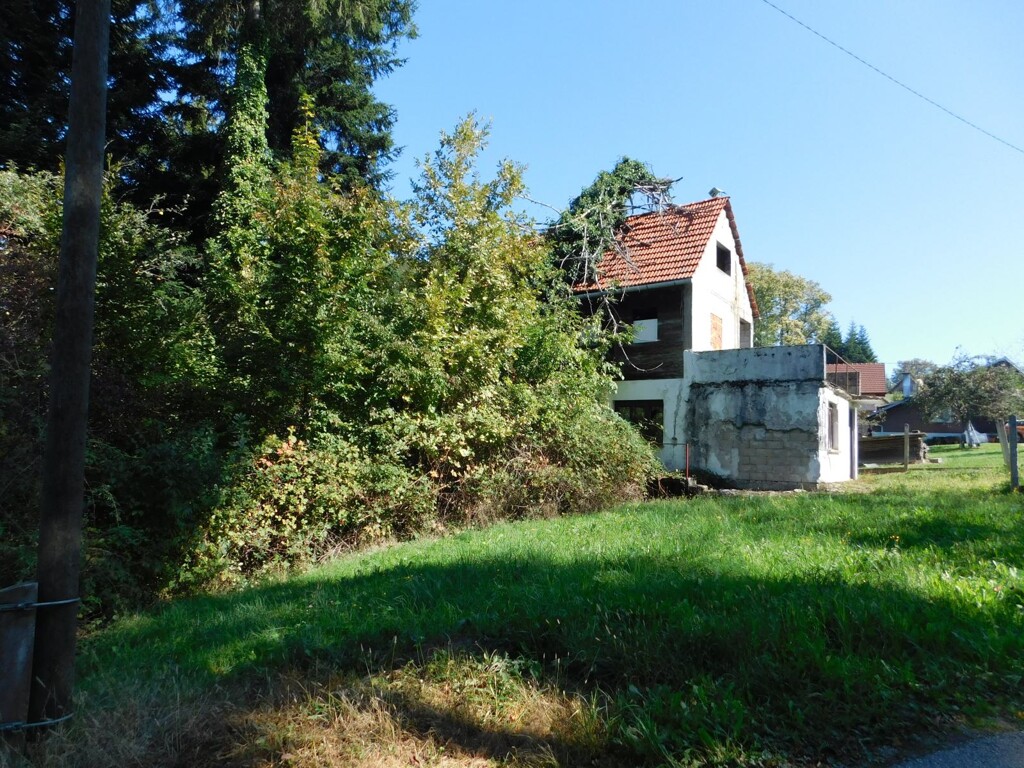 Image 6206802 - 3