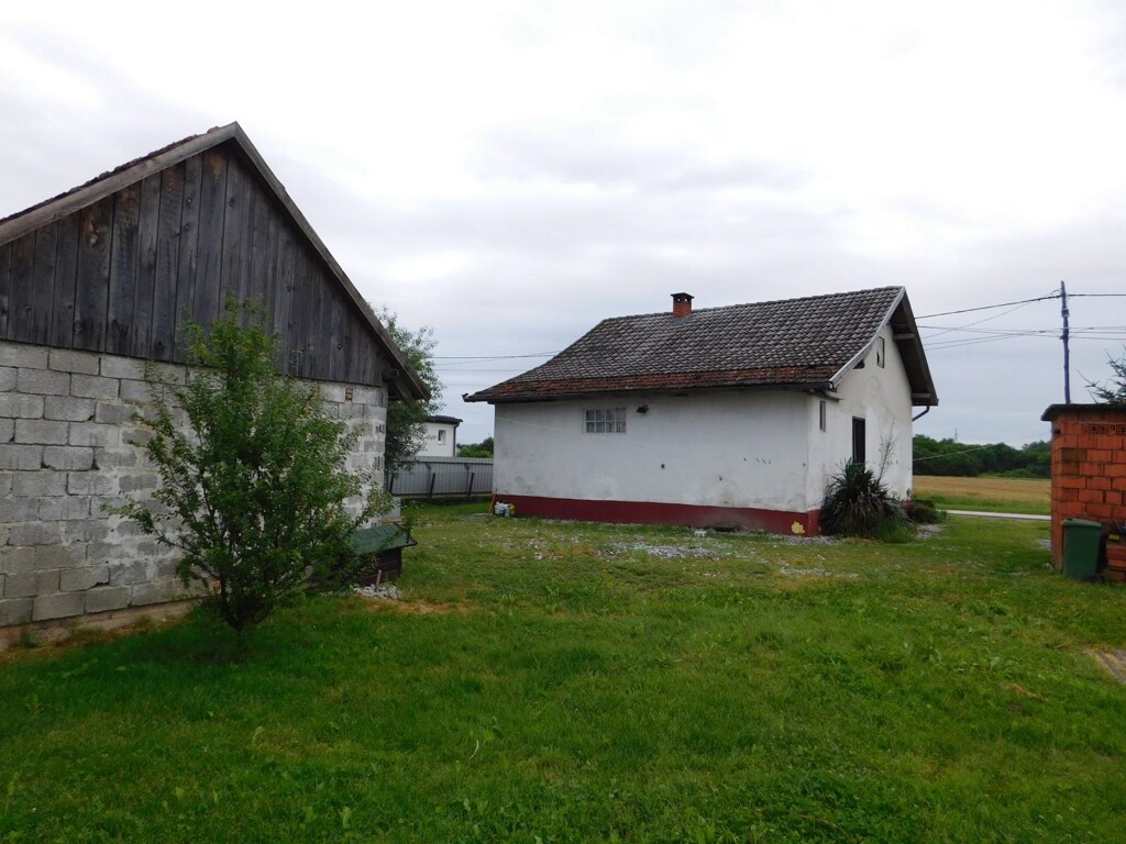 Image 6206806 - 3
