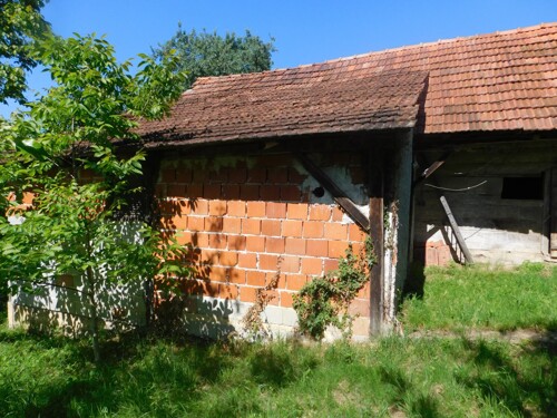 Thumbnail 6206812 - 4