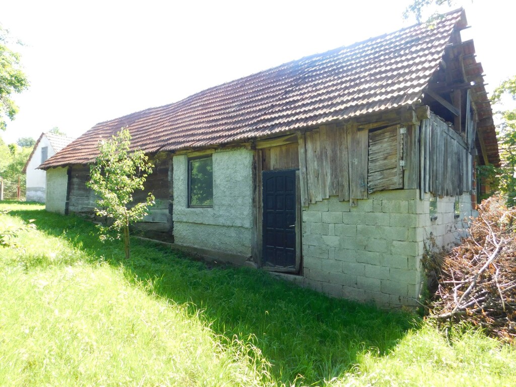 Image 6206812 - 2