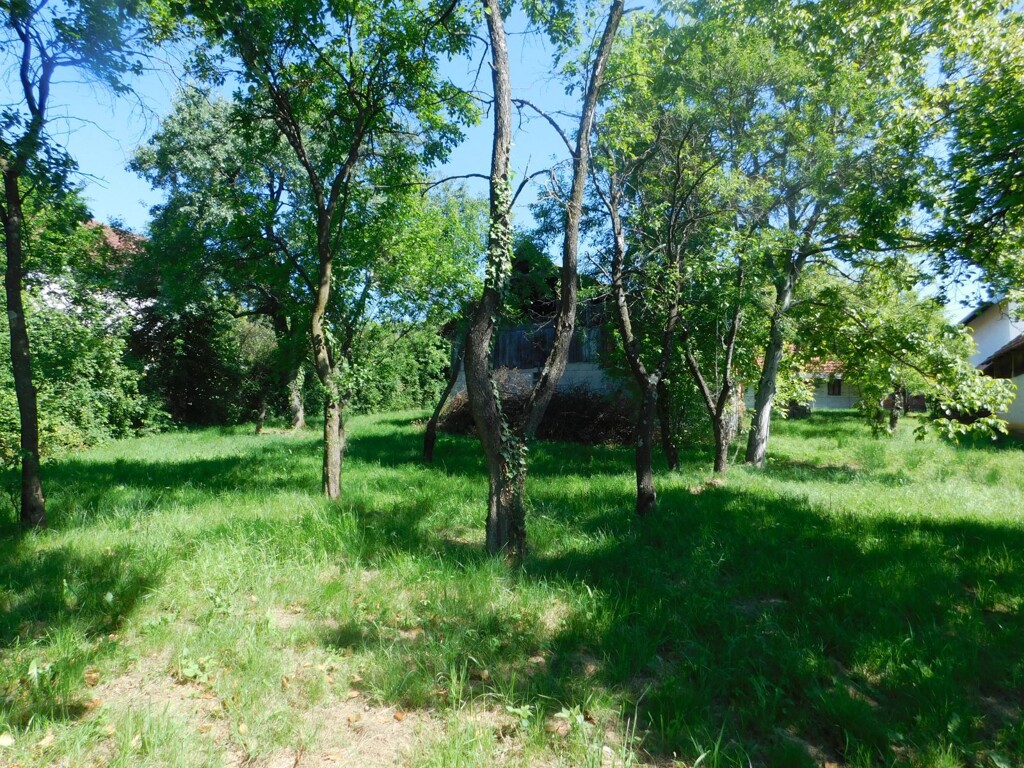 Image 6206812 - 13