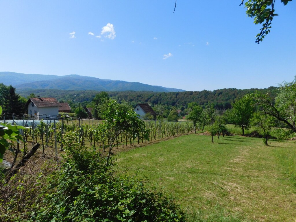 Image 6206812 - 14