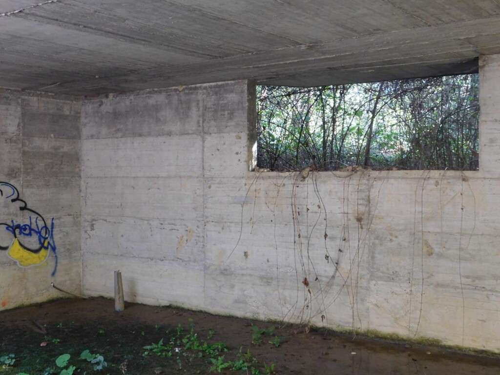 Image 6206818 - 13