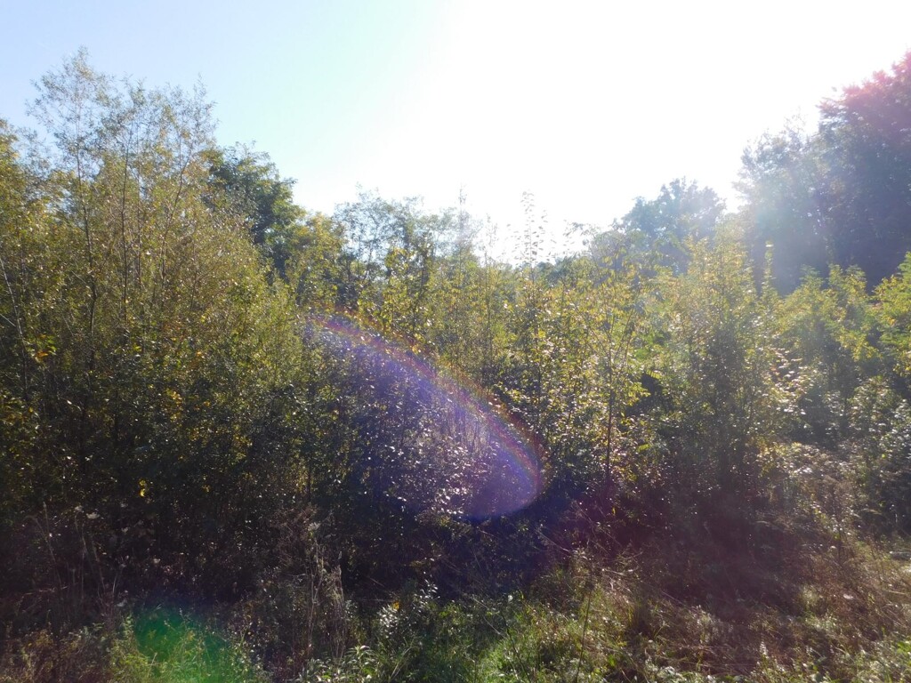 Image 6206818 - 16