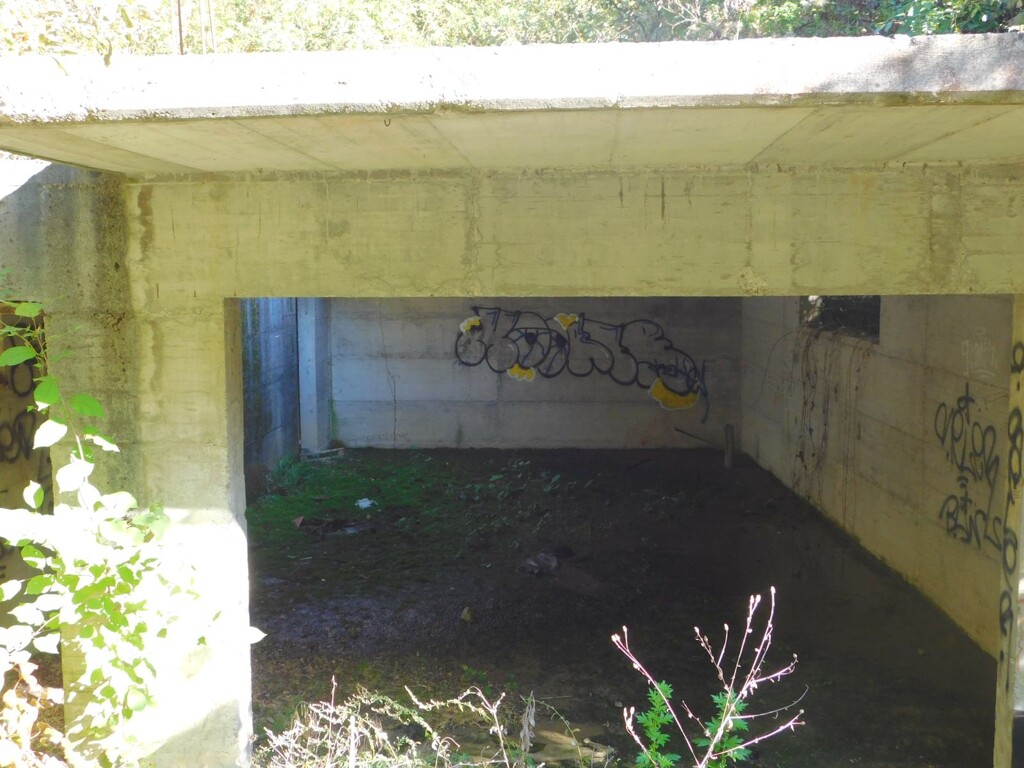 Image 6206818 - 12