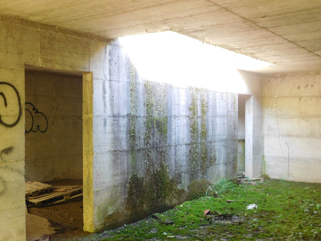 Image 6206818 - 14