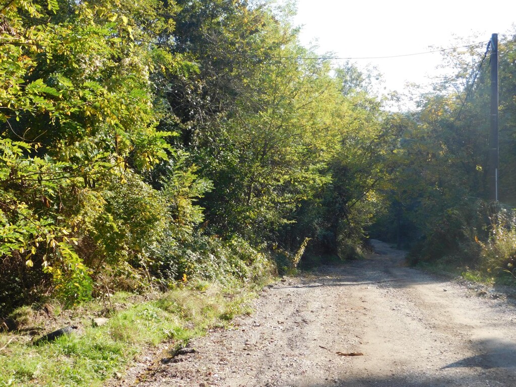 Image 6206818 - 8