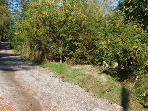 Thumbnail 6206818 - 1