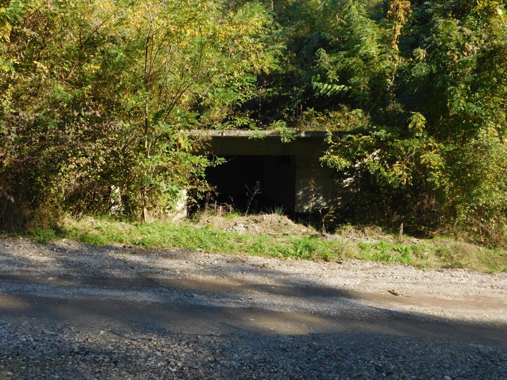 Image 6206818 - 10