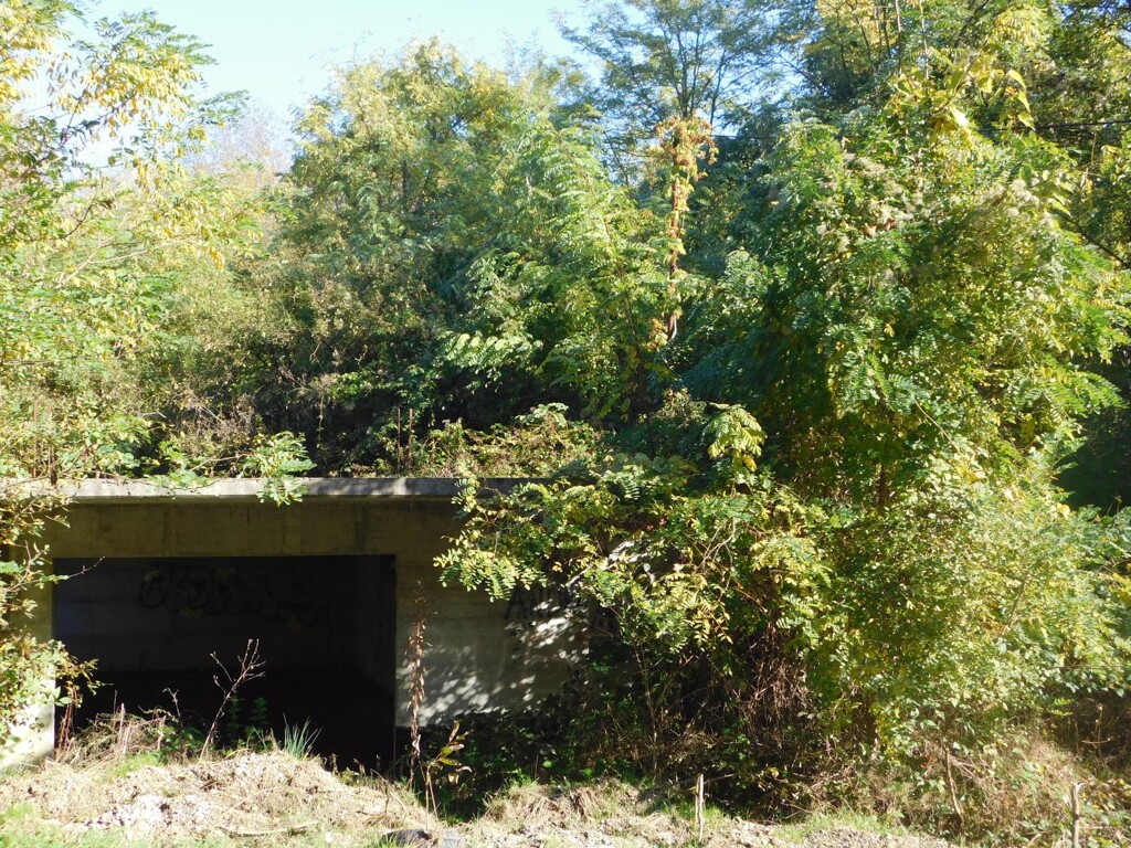 Image 6206818 - 9