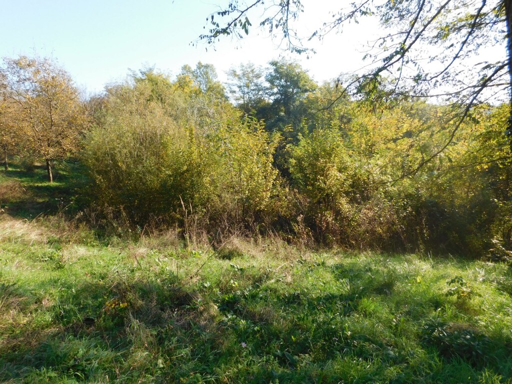 Image 6206818 - 4