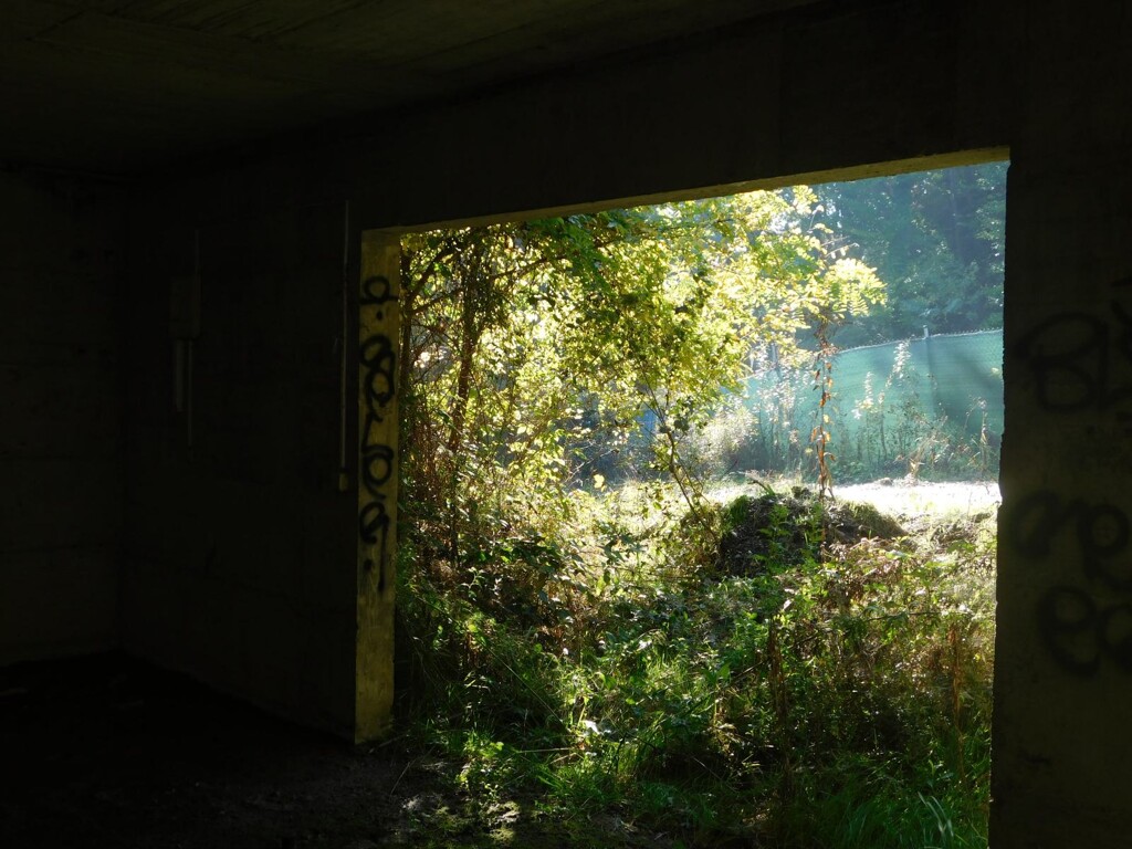 Image 6206818 - 7