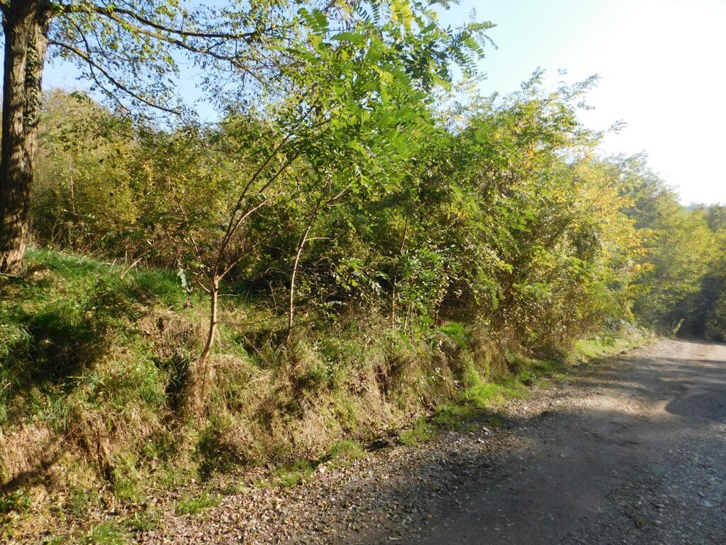 Image 6206818 - 3