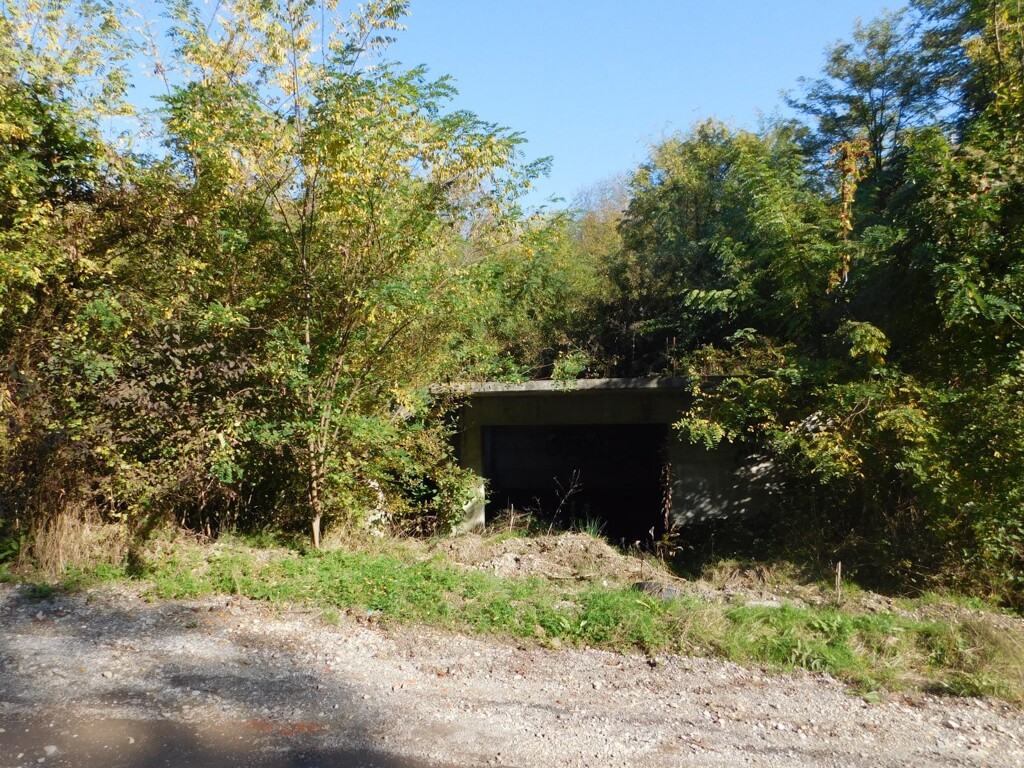 Image 6206818 - 11